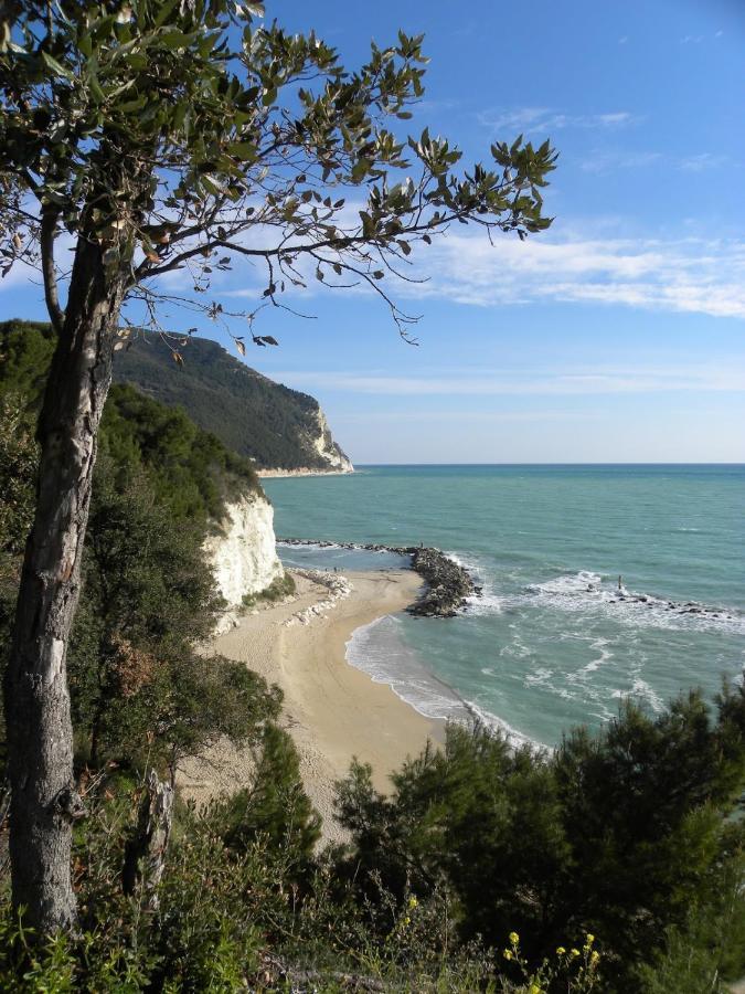 Mare Di Stelle Bed & Breakfast Сироло Екстериор снимка